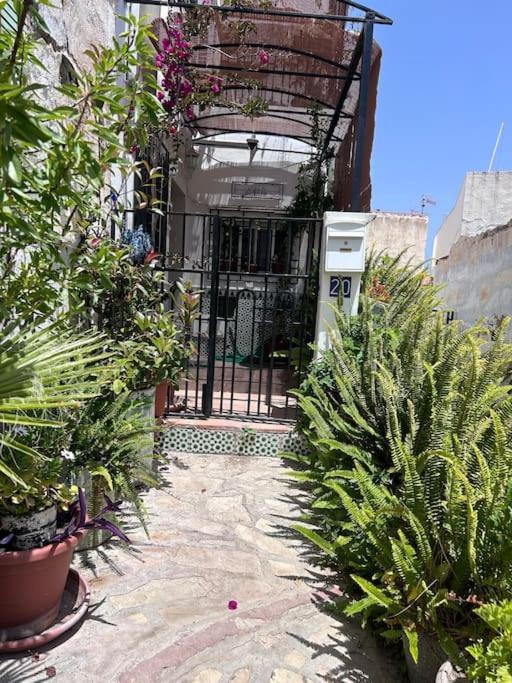 Amazing Sea And Mountain View! Casita Pinata Apartment Salobrena Ngoại thất bức ảnh