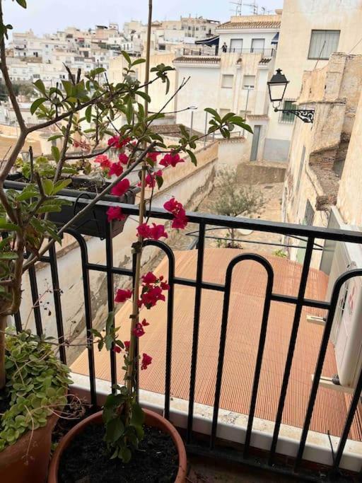 Amazing Sea And Mountain View! Casita Pinata Apartment Salobrena Ngoại thất bức ảnh