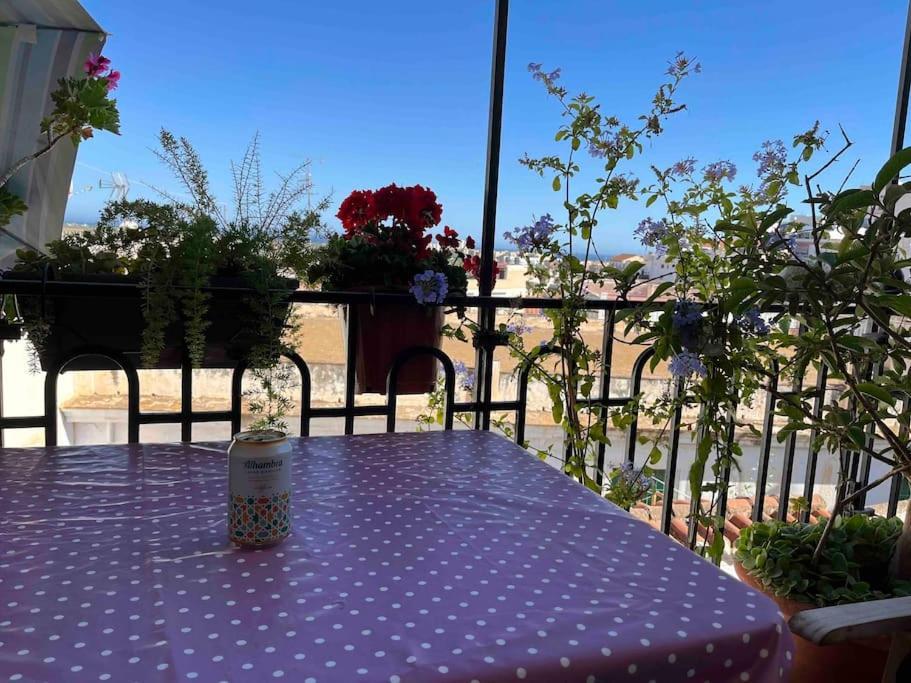 Amazing Sea And Mountain View! Casita Pinata Apartment Salobrena Ngoại thất bức ảnh
