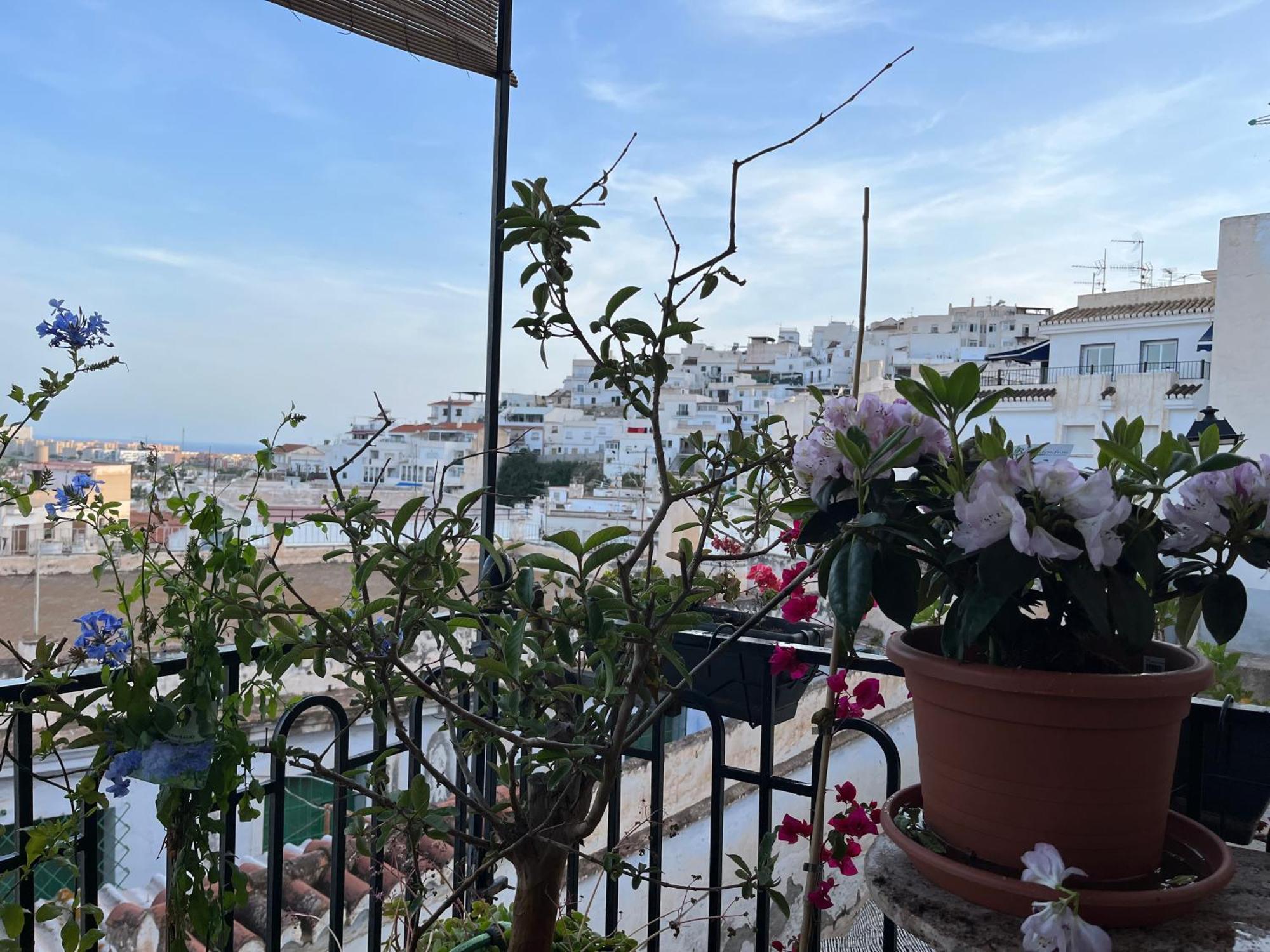 Amazing Sea And Mountain View! Casita Pinata Apartment Salobrena Ngoại thất bức ảnh